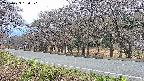 takano5-20250423180113.jpg