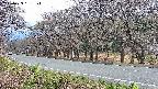 takano5-20250423181114.jpg