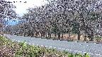 takano5-20250423182114.jpg