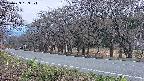 takano5-20250423183114.jpg