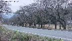 takano5-20250423184112.jpg