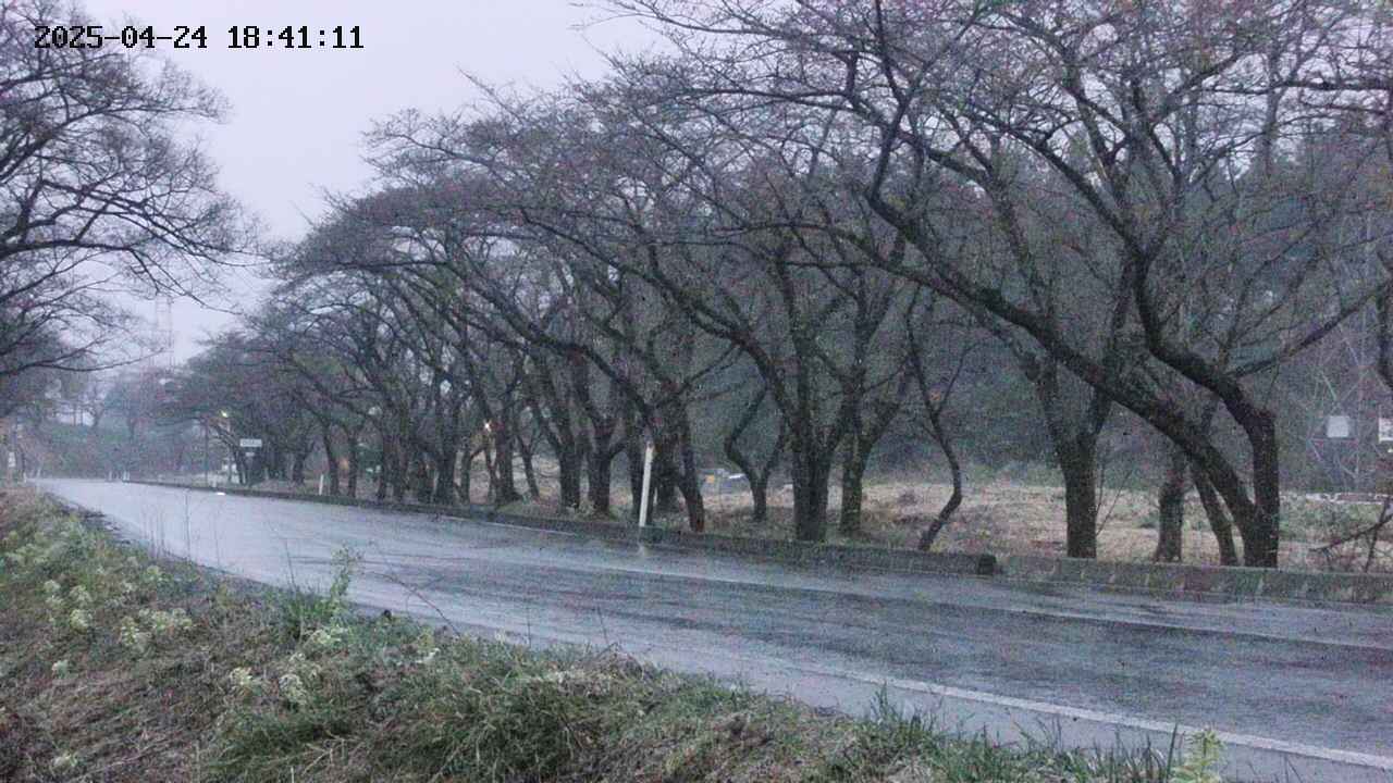 takano5-20250424184112.jpg
