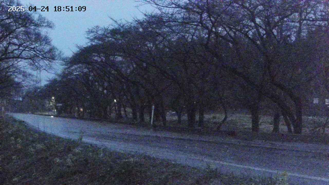 takano5-20250424185110.jpg
