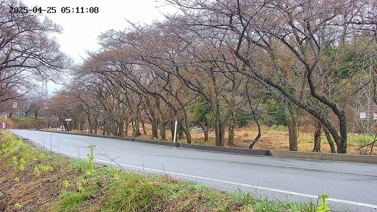 takano5-20250425051109.jpg