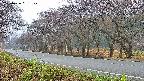 takano5-20250426051109.jpg