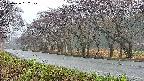 takano5-20250426052109.jpg