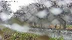 takano5-20250426053109.jpg
