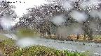 takano5-20250426055110.jpg
