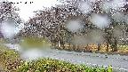 takano5-20250426060111.jpg