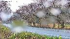 takano5-20250426061110.jpg