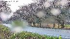 takano5-20250426062111.jpg
