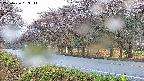 takano5-20250426063112.jpg