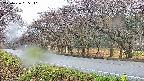 takano5-20250426065111.jpg