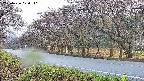 takano5-20250426070111.jpg