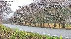 takano5-20250426071110.jpg
