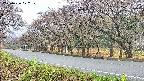 takano5-20250426072110.jpg