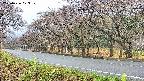 takano5-20250426073110.jpg