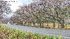 takano5-20250426074110.jpg
