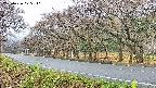 takano5-20250426075111.jpg