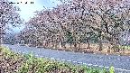 takano5-20250426080112.jpg