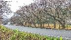 takano5-20250426081110.jpg