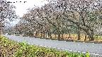 takano5-20250426082111.jpg