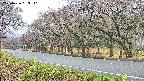 takano5-20250426083112.jpg