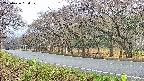 takano5-20250426084111.jpg