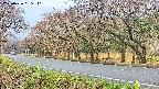 takano5-20250426085111.jpg