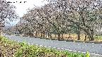 takano5-20250426090111.jpg