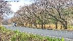 takano5-20250426092111.jpg