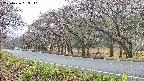 takano5-20250426093111.jpg
