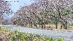 takano5-20250426095111.jpg