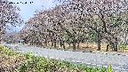 takano5-20250426100112.jpg