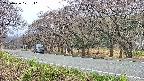 takano5-20250426101111.jpg