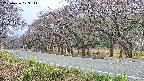 takano5-20250426103112.jpg