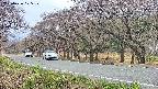 takano5-20250426105110.jpg