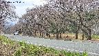 takano5-20250426110110.jpg