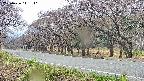 takano5-20250426111111.jpg