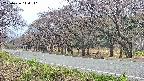 takano5-20250426114111.jpg