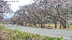 takano5-20250426115111.jpg