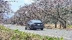 takano5-20250426122110.jpg