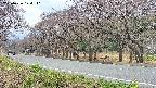 takano5-20250426124112.jpg
