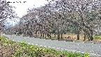 takano5-20250426125111.jpg