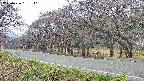 takano5-20250426131111.jpg