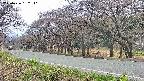 takano5-20250426132111.jpg