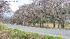 takano5-20250426133111.jpg
