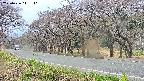 takano5-20250426141111.jpg