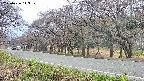 takano5-20250426143110.jpg