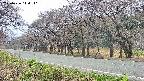 takano5-20250426144112.jpg